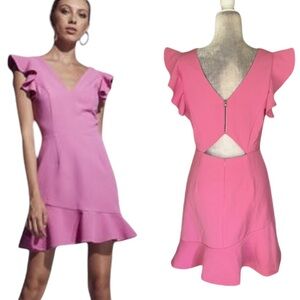 Shilla Pink Ruffle Cutout V-Neck Fit & Flare Mini Dress - XL